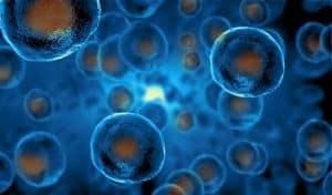Stem cells Case Studies