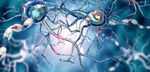 células madre desarrolladas recientemente para tratar la enfermedad de Parkinson